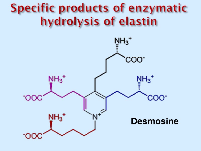 Specific products of enzymatic hydrolysis of elastin Desmosine